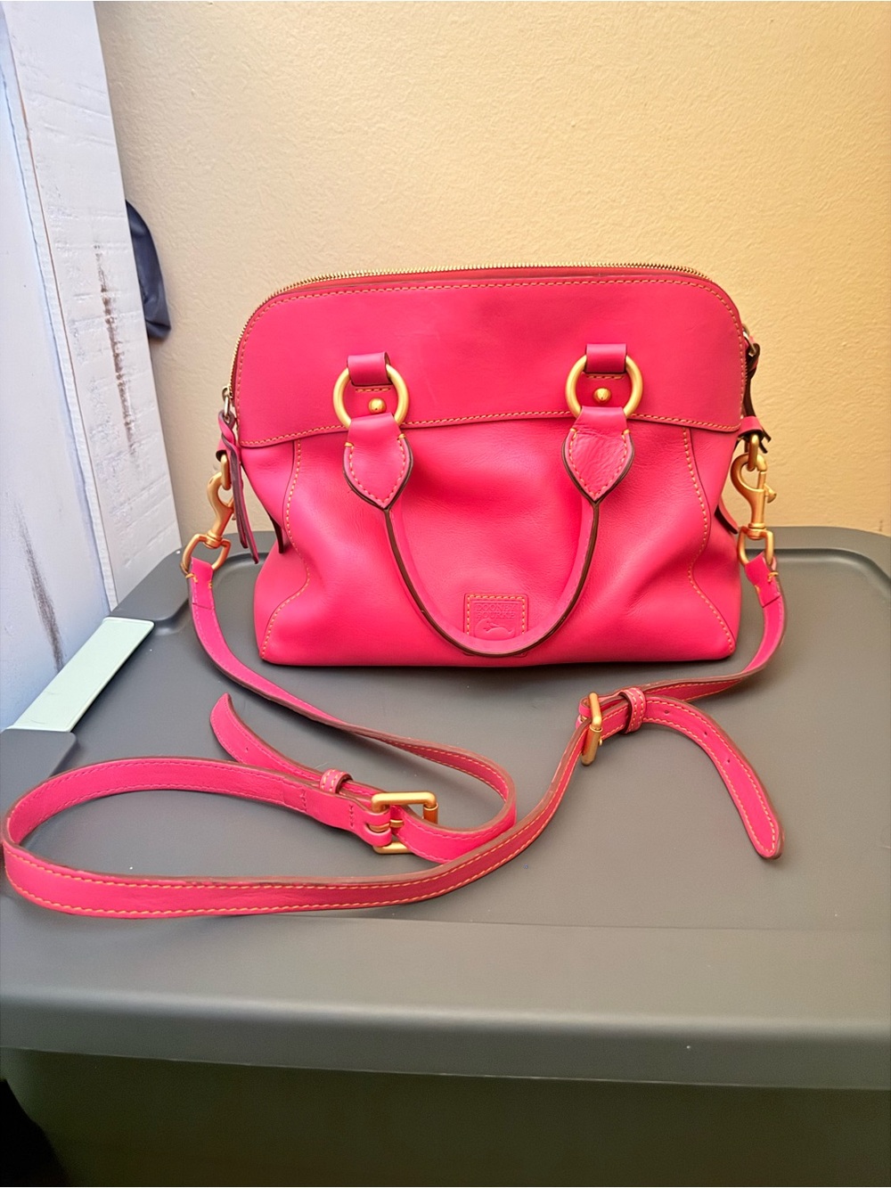 DOONEY & BOURKE Hot Pink Leather Satchel